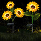 Verlicht uw tuin met zonnige zonnebloemen 