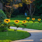 Verlicht uw tuin met zonnige zonnebloemen 