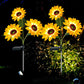 Verlicht uw tuin met zonnige zonnebloemen 