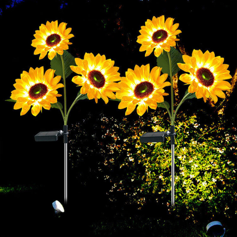 Verlicht uw tuin met zonnige zonnebloemen 