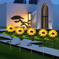 Verlicht uw tuin met zonnige zonnebloemen 