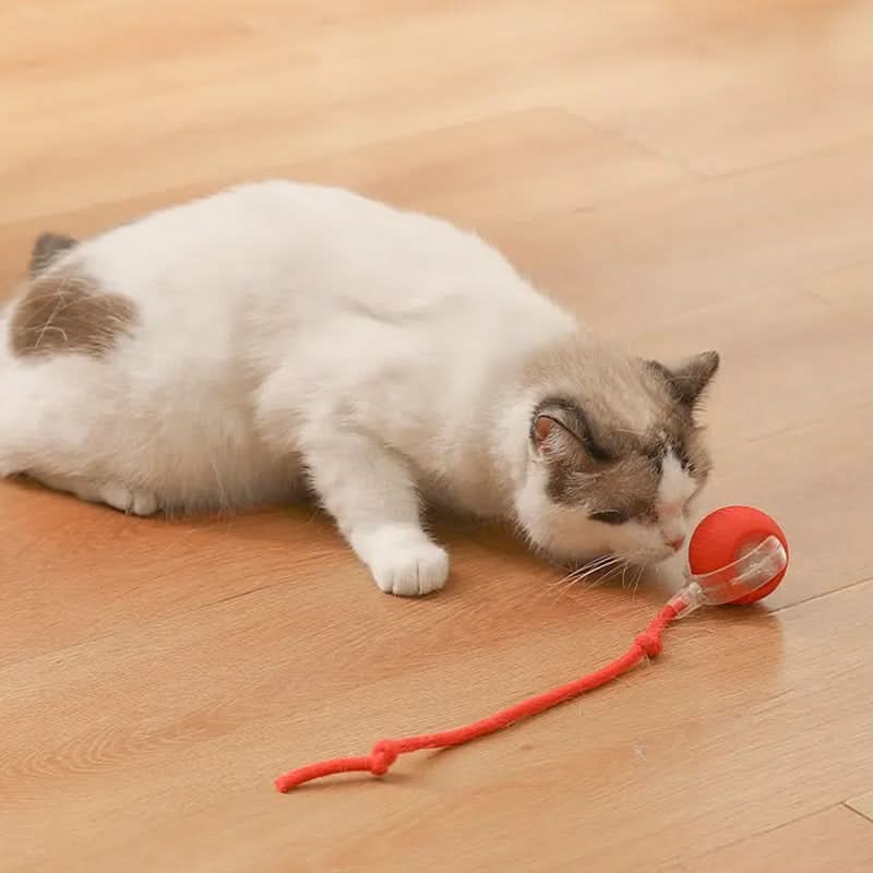 Juguete rebotador para gatos activos y curiosos 