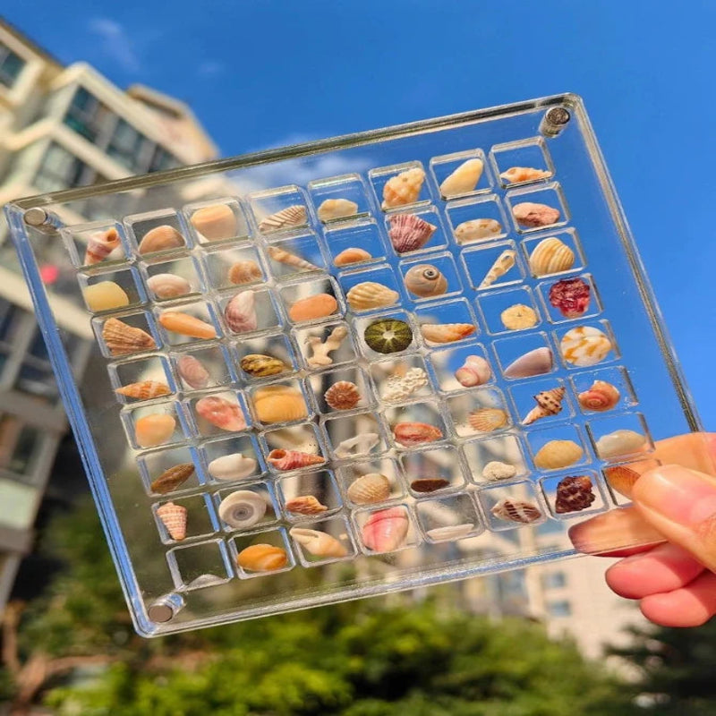 Display your shells with style and safety 