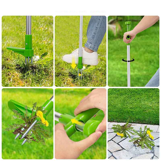 Wyciągacz chwastów ze stali